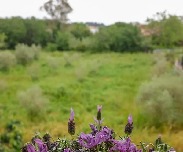 Coro Cozy House Vakantiehuis *