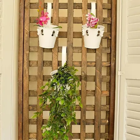 Coro Cozy House Ferienhaus