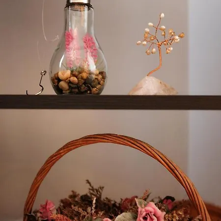 Coro Cozy House Ferienhaus *