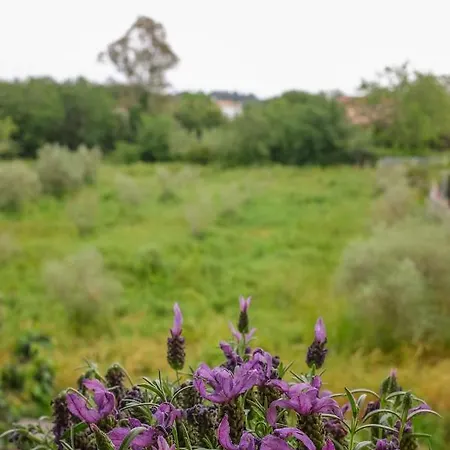 Coro Cozy House Ferienhaus *